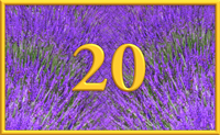 teaching 20