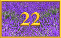 teaching 22