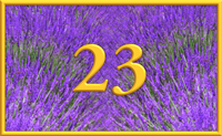 teaching 23