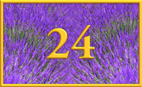 teaching 24