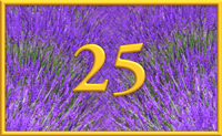teaching 25