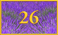teaching 26