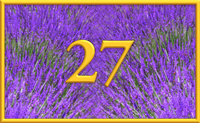 teaching 27