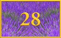 teaching 28