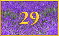teaching 29