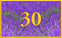 teaching 30
