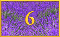 teaching 6