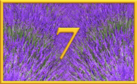 teaching 7