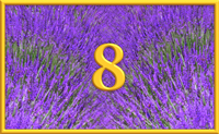 teaching 8