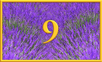 teaching 9