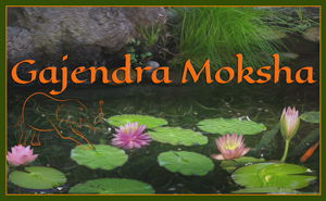 Gajendra Moksha - A story from the Bhagavad Purana, Rendered by Gurumayi Chidvilasananda