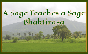 A Sage Teaches a Sage Bhaktirasa - A story from the Bhagavad Purana, Rendered by Gurumayi Chidvilasananda