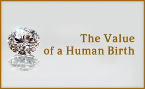 The Value of Human Birth - From 'Where Are You Going?' by Baba Muktananda