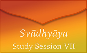 Session VII letter