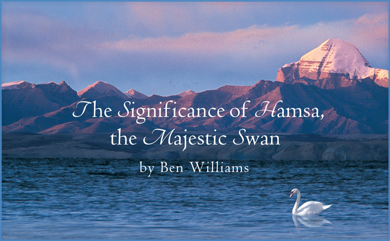 The Significance of Hamsa, the Majestic Swan