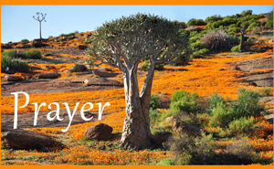 Prayer to Mother Earth