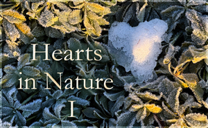 Hearts in Nature Gallery I