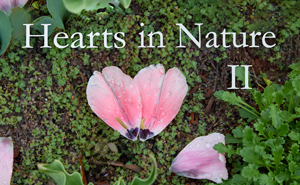 Hearts in Nature Gallery II