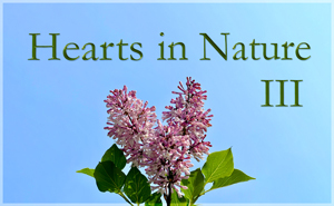 Hearts in Nature Gallery II