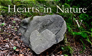 Hearts in Nature Gallery V