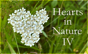 Hearts in Nature Gallery IV