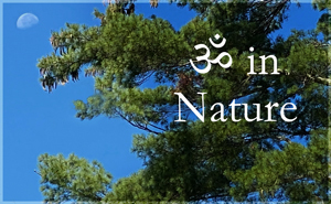 Aum in Nature