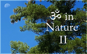 AUM in Nature Gallery II