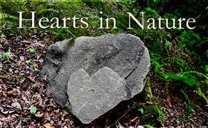 Hearts in Nature