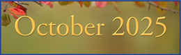 October 2025