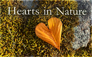 Hearts in Nature