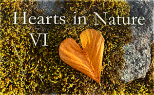 Hearts in Nature Gallery VI