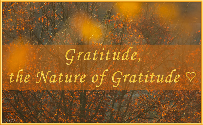 Gratitude, the Nature of Gratitude
