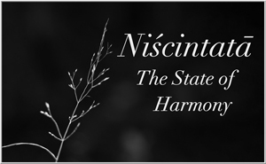 Niscintata - The State of Harmony