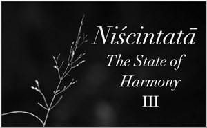 Niscintata III