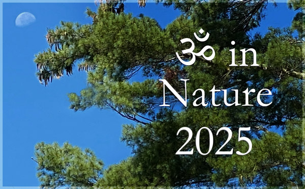 Aum in Nature 2025