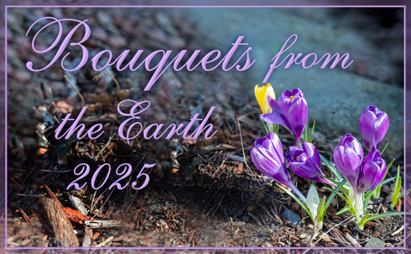 Bouquets from the Earth 2025