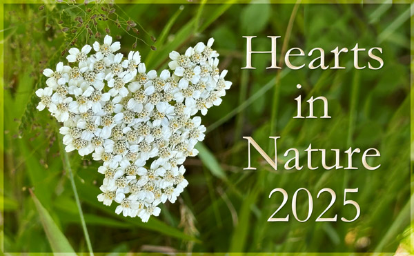 Hearts in Nature 2025