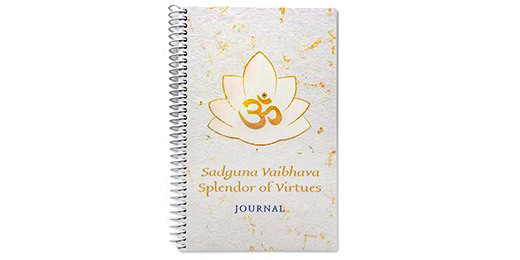 Virtue Journal