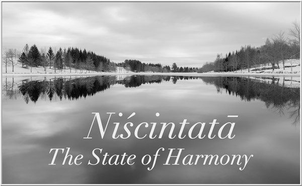 Niscintata - The State of Harmony