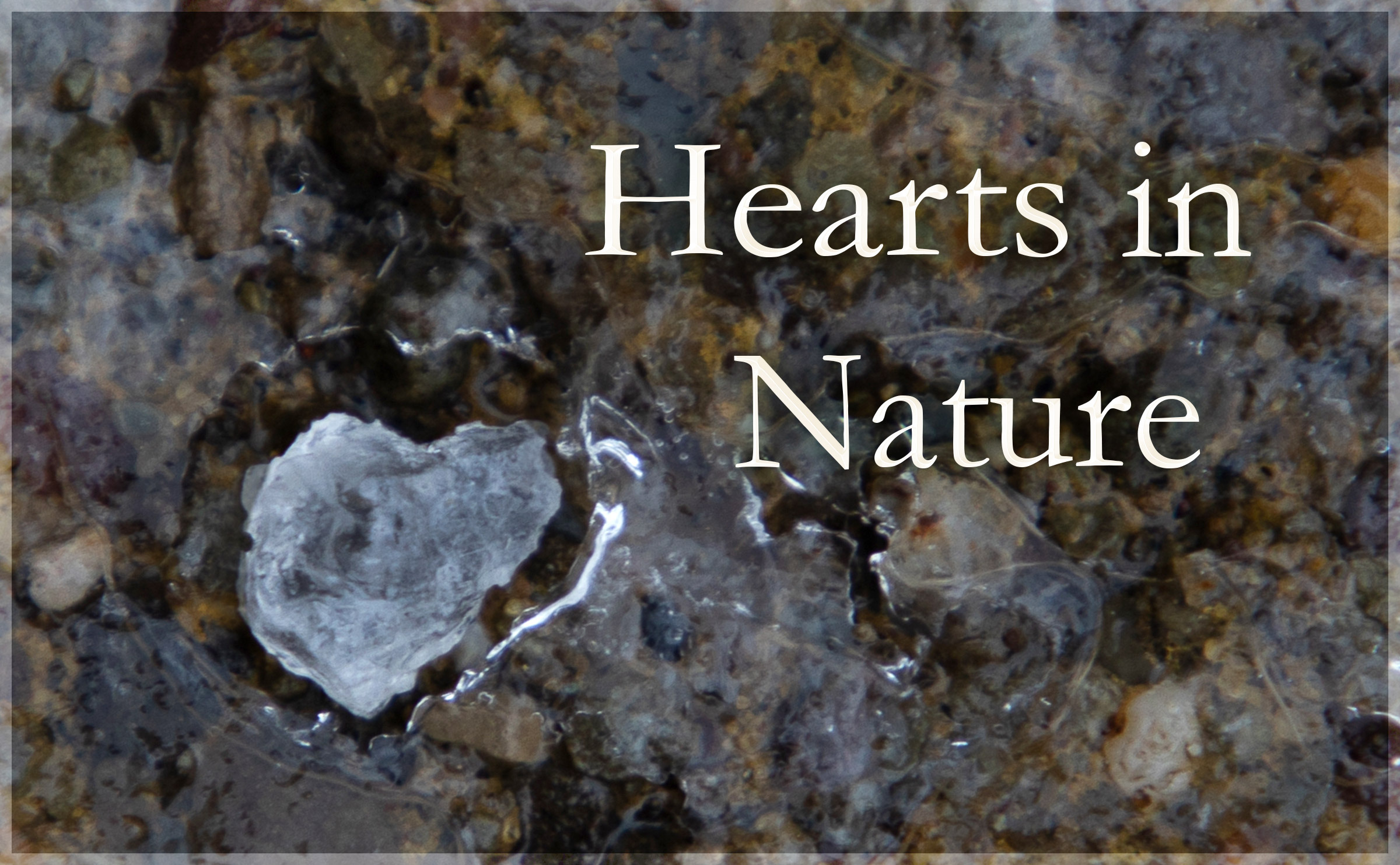 Hearts in Nature