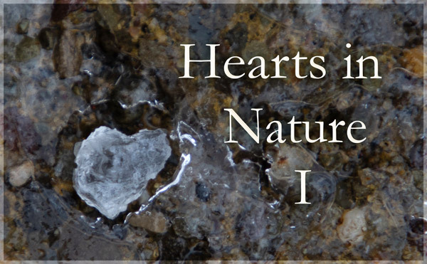 Hearts in Nature Gallery I