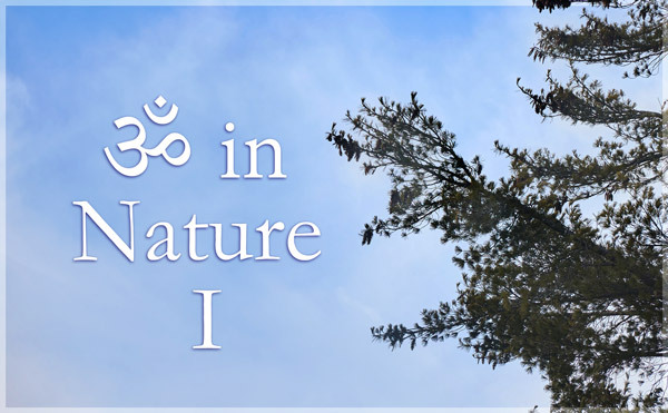 AUM in Nature Gallery I