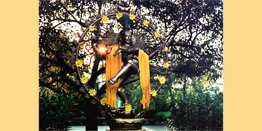 Image of Shiva Nararaj