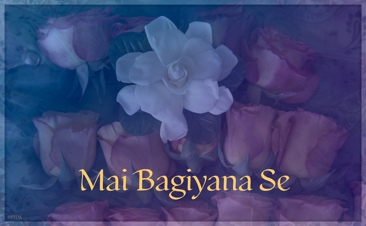 Preparing for Siddha Yoga Satsang