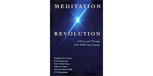 Book: Meditation Revolution