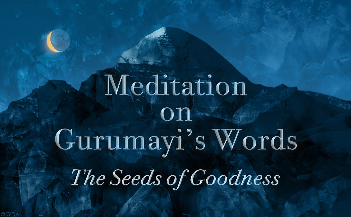 Meditation on Gurumayi's Words: Gurumayi's Prayer