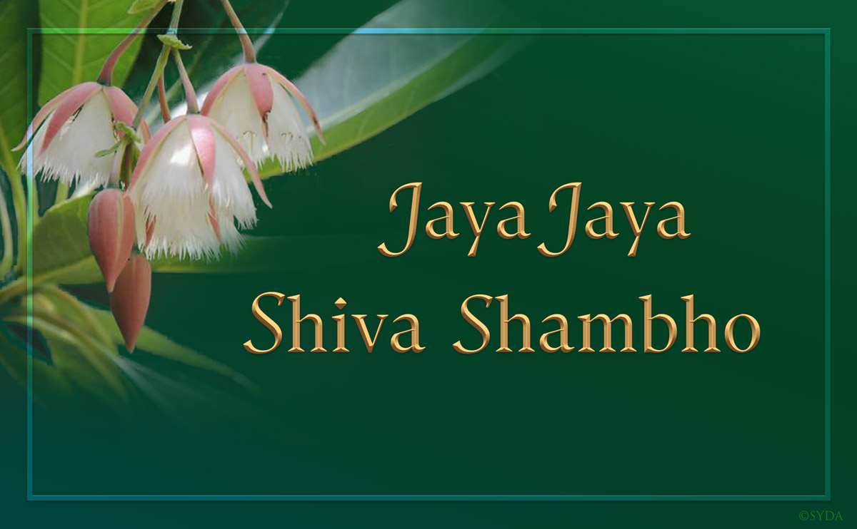 Preparing for Siddha Yoga Satsang