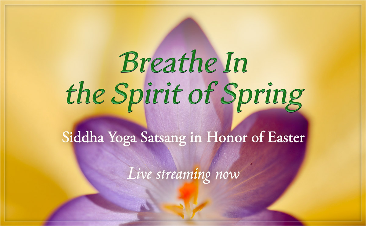 Live Video Stream for Easter 2026