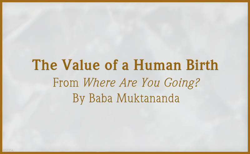 The Value of a Human Birth