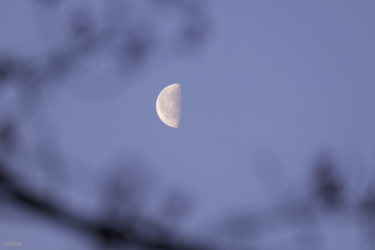 Nature Image